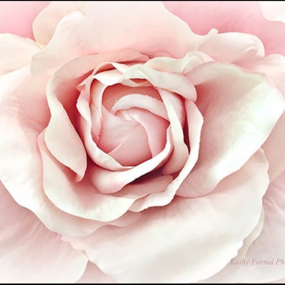 Meet your Posher, Danie